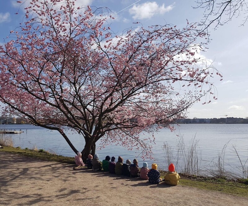 Krippenkinder machen Rast an der Alster und schauen aufs Wasser